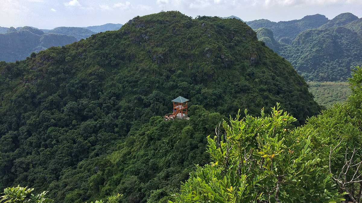 CAT BA NATIONAL PARK OFFERS RANGE OF TREKKING OPTIONS